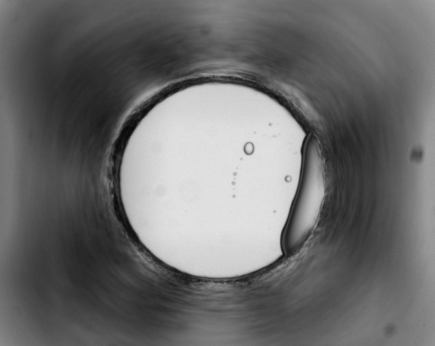 X0000103421164200810241027