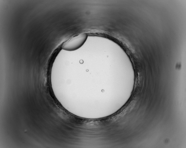 X0000103421165200810241027