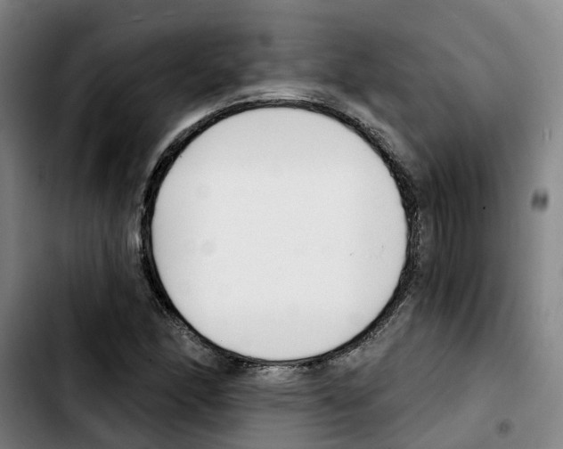 X0000103421166200810241027