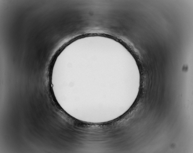 X0000103421167200810241027