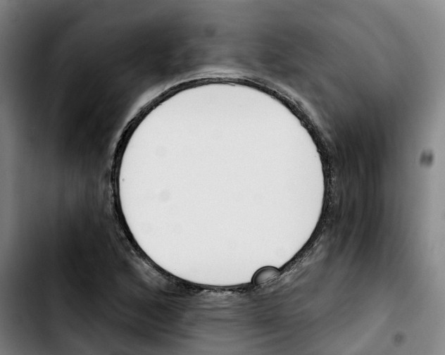 X0000103421168200810241027