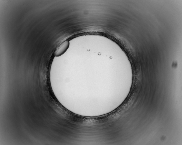 X0000103421169200810241027
