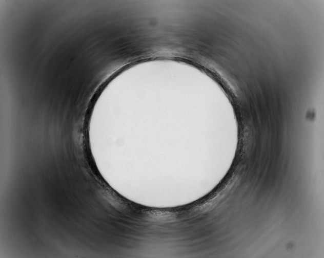 X0000103421170200810241027