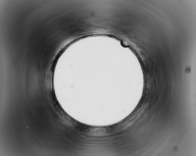 X0000103421171200810241027