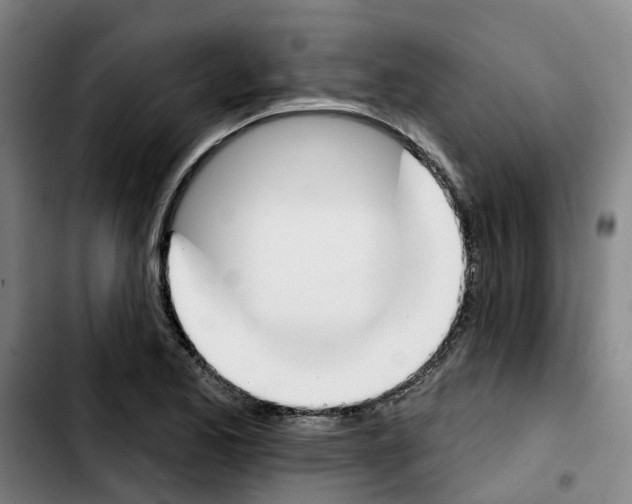 X0000103421173200810241027