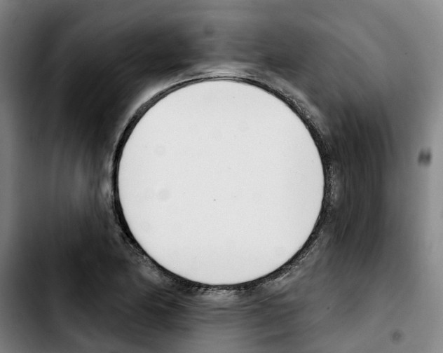 X0000103421174200810241027