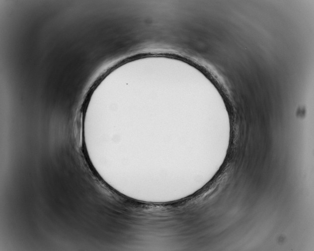 X0000103421175200810241027