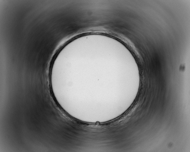 X0000103421176200810241027