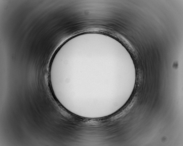 X0000103421178200810241027