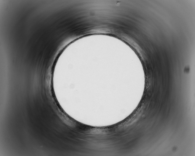 X0000103421179200810241027