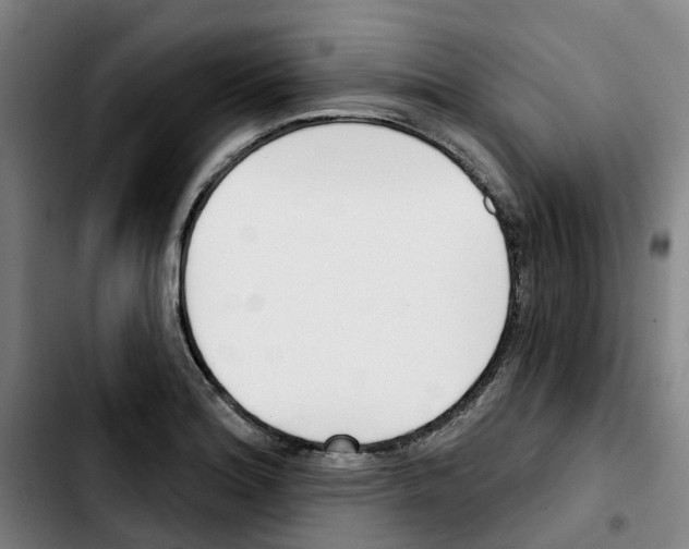 X0000103421180200810241027