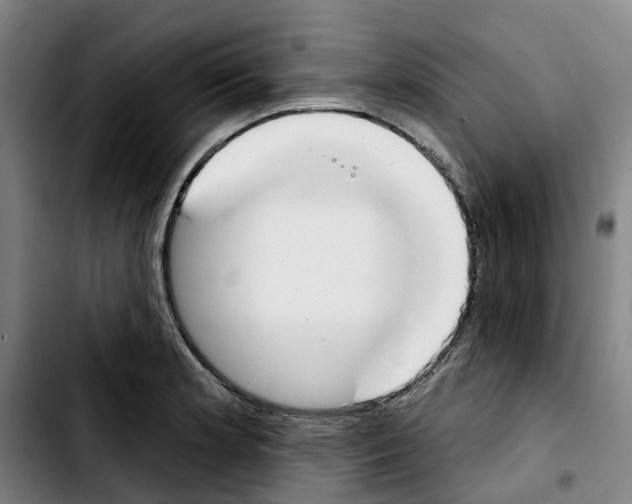 X0000103421181200810241027