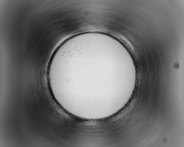 X0000103421182200810241027