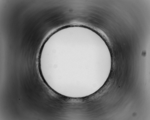 X0000103421183200810241027