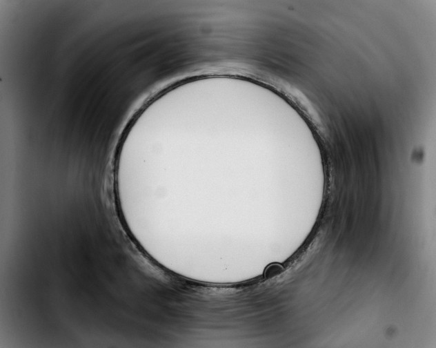 X0000103421184200810241027