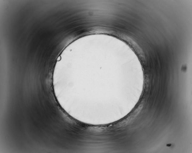 X0000103421185200810241027