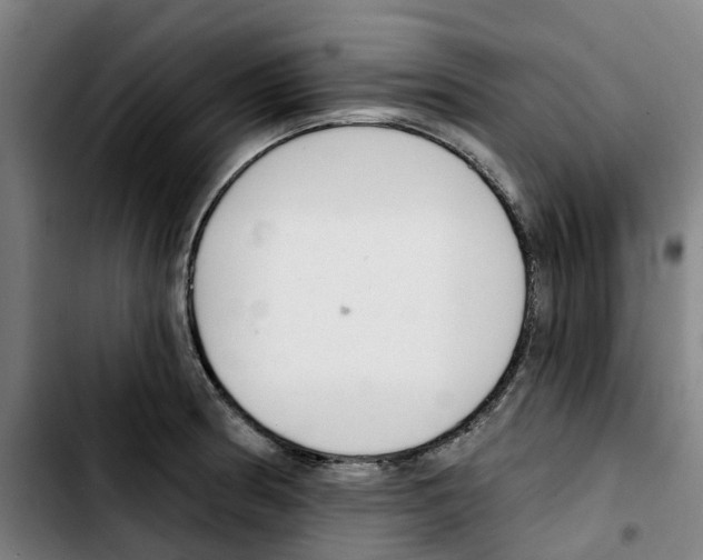 X0000103421186200810241027