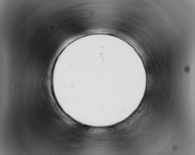 X0000103421187200810241027