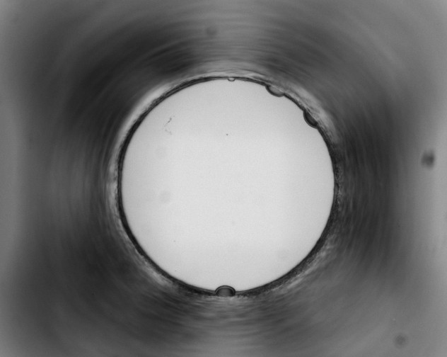 X0000103421188200810241027