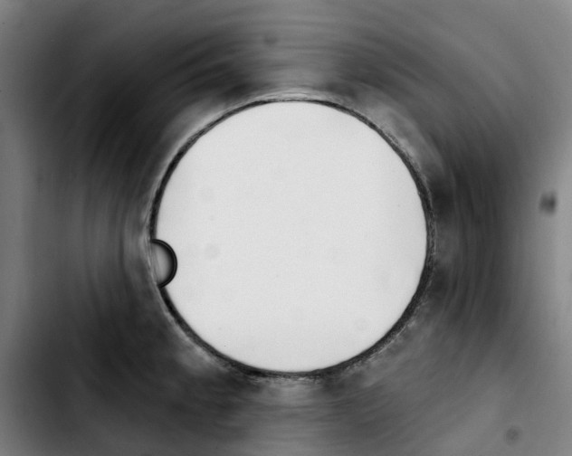 X0000103421189200810241027