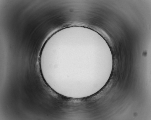 X0000103421190200810241027