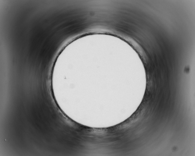 X0000103421191200810241027