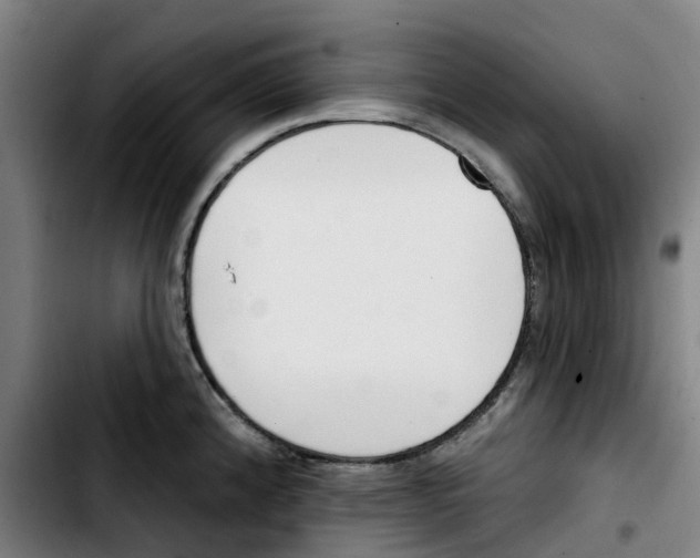 X0000103421192200810241027