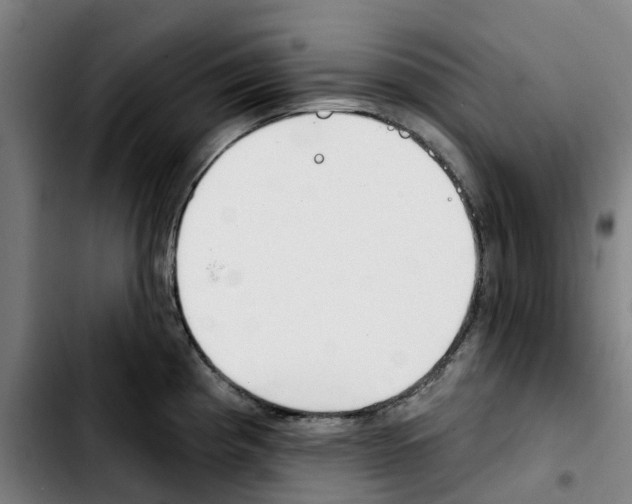 X0000103421193200810241027