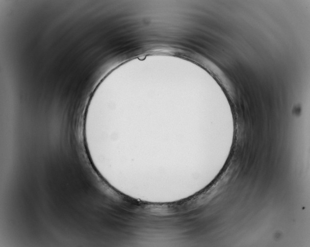 X0000103421194200810241027