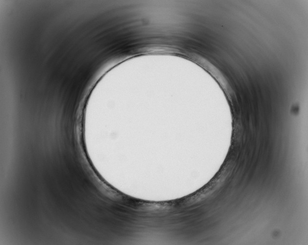 X0000103421195200810241027
