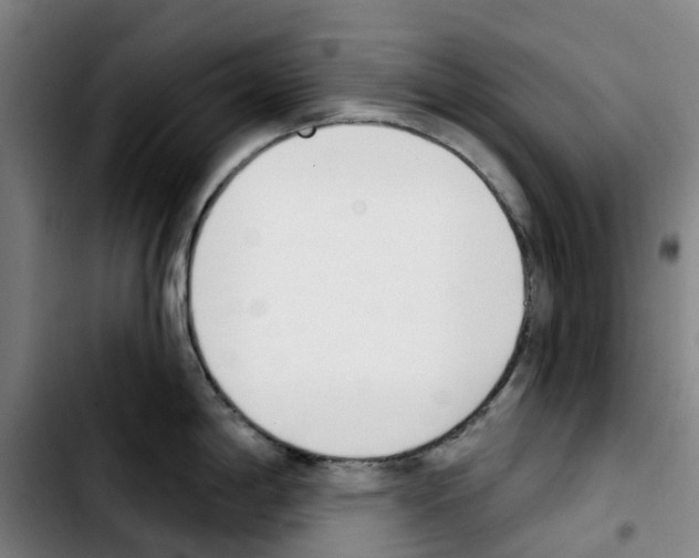 X0000103421198200810241027