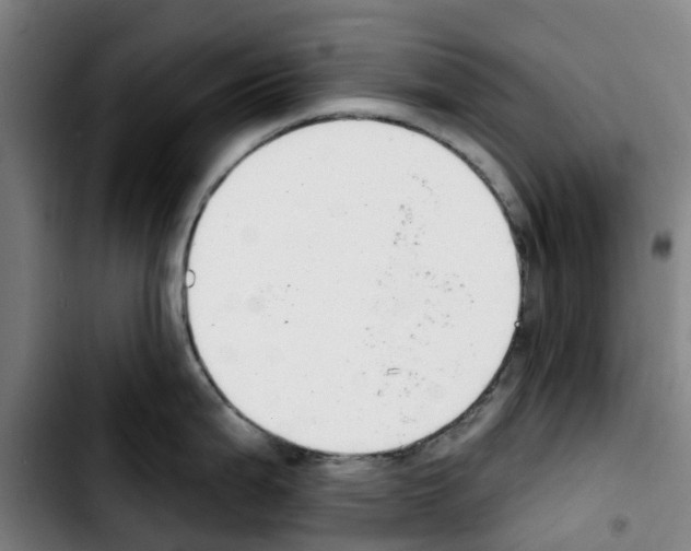 X0000103421199200810241027