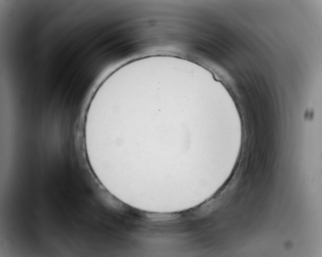 X0000103421200200810241027