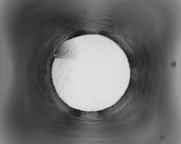 X0000103421201200810241026