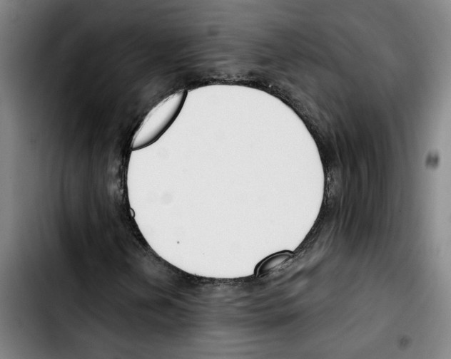 X0000103421202200810241026