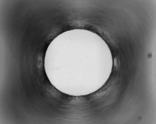 X0000103421203200810241026