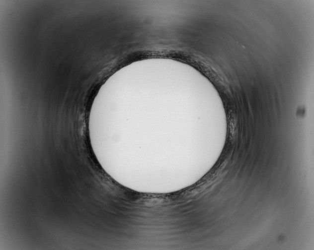X0000103421204200810241026