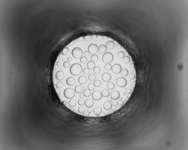 X0000103421205200810241026