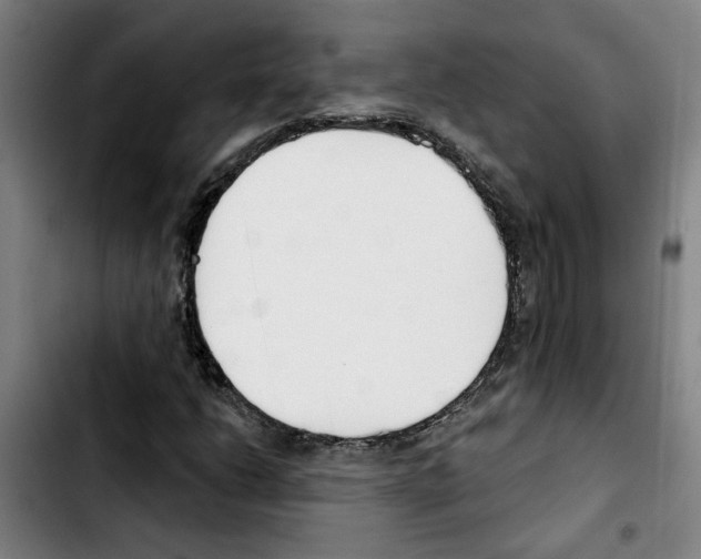 X0000103421206200810241026