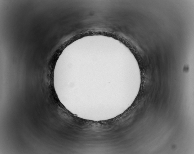X0000103421207200810241026