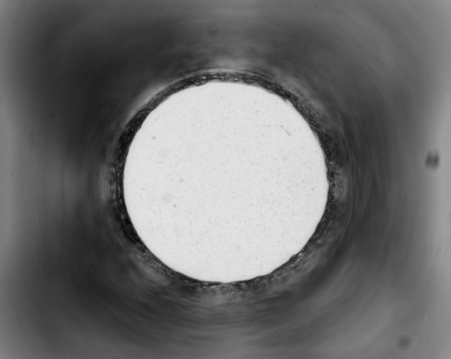 X0000103421208200810241026