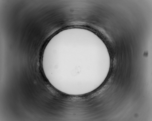 X0000103421209200810241026