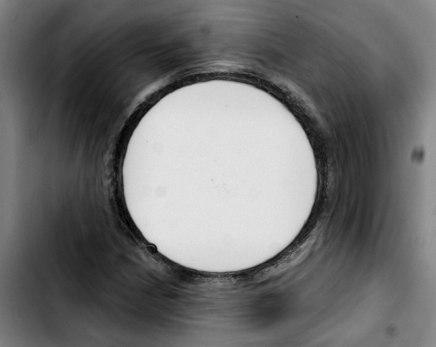 X0000103421210200810241026