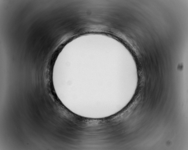 X0000103421211200810241026