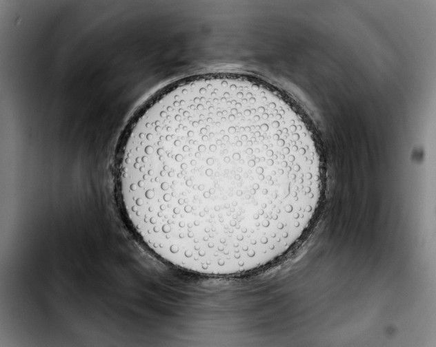 X0000103421212200810241026