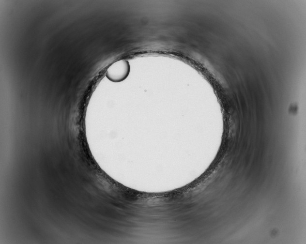 X0000103421213200810241026