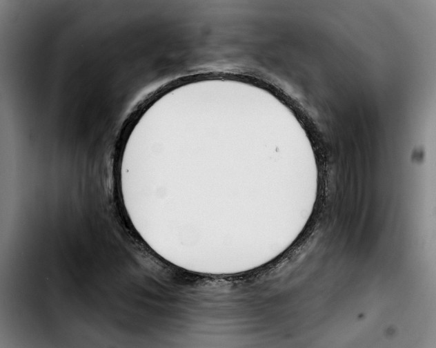 X0000103421214200810241026