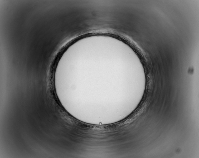 X0000103421215200810241026