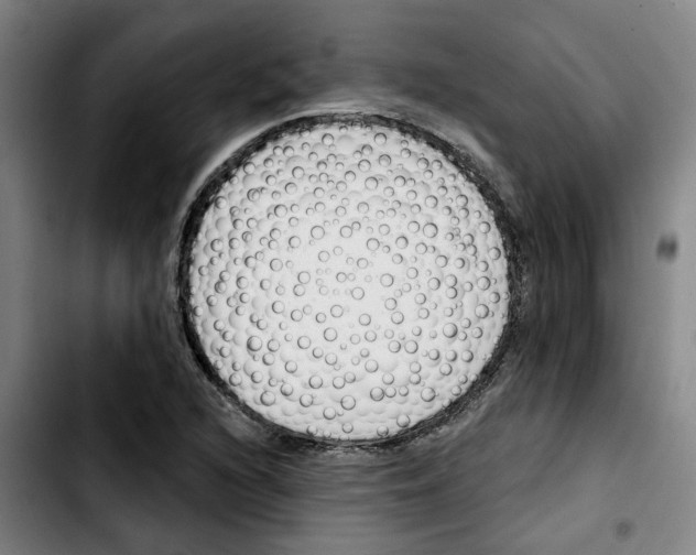 X0000103421216200810241026