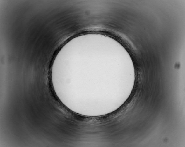 X0000103421217200810241026